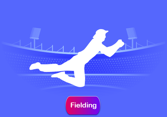 pointsystem_fielding
